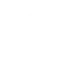 Attendees